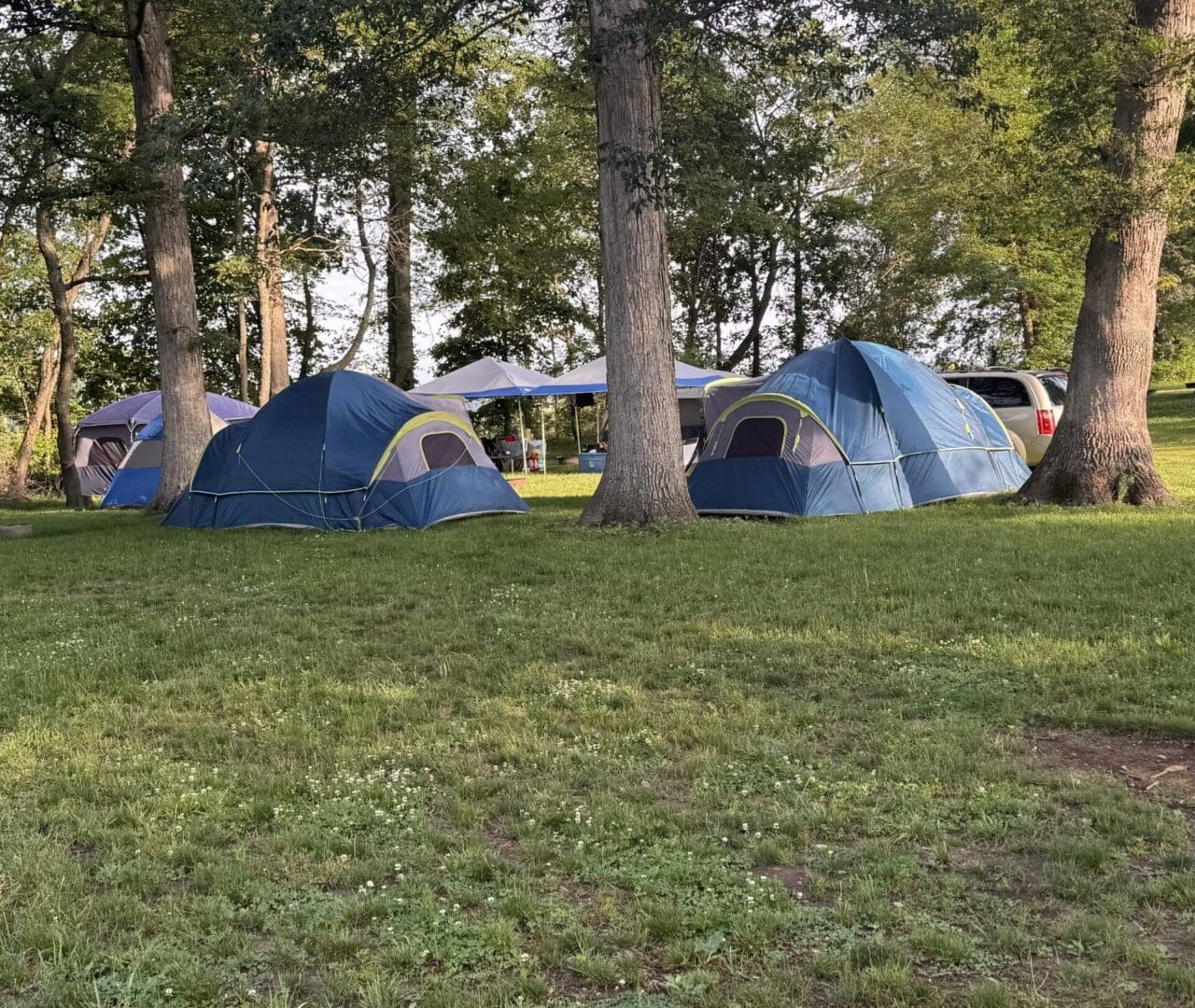 Tent site 64